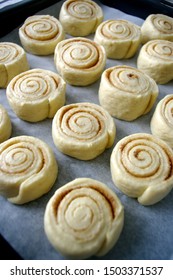 Fresh cinnamon rolls, yeast dough, on a baking sheet, home cooking - Shutterstock ID 1503371537