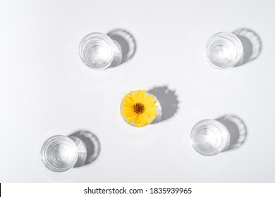 Fresh Clear Water Drink With Yellow Flower In Glass On White Background, Hard Light Creative Composition, Top View