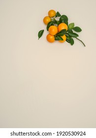 Fresh Clementines With Green Leaves On Beige Background. Hybrid Of Small-sized Tangerines. Overhead View, Copy Space. 