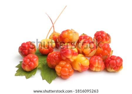 Fresh cloudberries with green leaf on white background
