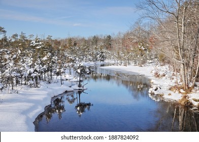 A Fresh Coating Of Snow Blankets The Landscape Of The Factory Branch Stream In The NJ Pine Barrens.