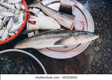 Fresh Cobia Fish At The Market 