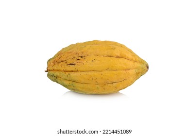 Fresh Cocoa Fruit Isolated On White Background.