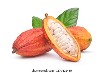 Fresh cocoa fruits with half sliced and green leaf isolated on white background with clipping path 