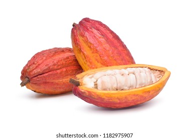 Fresh cocoa fruits with half sliced and isolated on white background with clipping path 