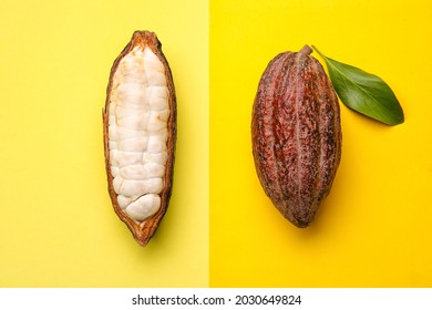 Fresh Cocoa Fruits On Color Background