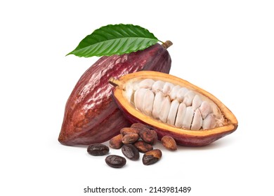 Fresh Cocoa pods with dried beans isolated on white background.
