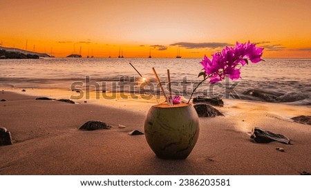 Fresh coconut on the sand at sunset in Martinique, French West Indies.
