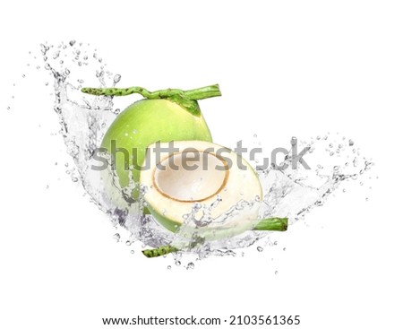 Fresh coconut with water splash from brown coco nut isolated on white background.