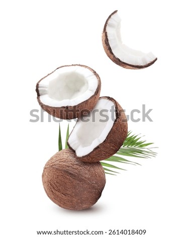 Fresh coconuts and green leaf flying on white background