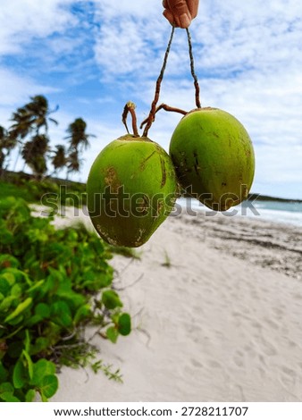 Fresh coconuts held over sandy beach near ocean on a sunny day. Two green coconuts are shown being held above the sand with ocean and palm trees in the background.