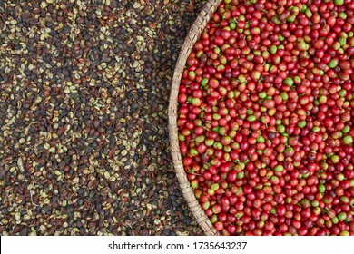 fresh coffee beans and dried coffee beans.  two sides dry and wet coffee beans.  drying beans.  comparison of the condition