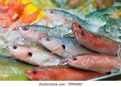 25,636 Japan fish markets Images, Stock Photos & Vectors | Shutterstock