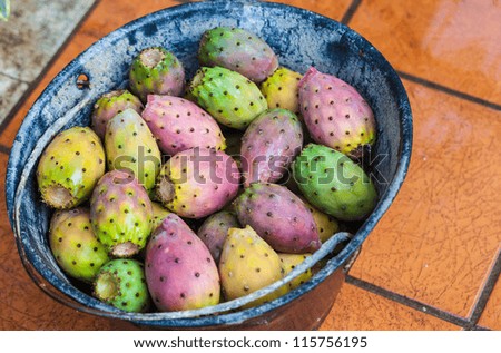 Similar – Image, Stock Photo prickly pears Fruit Nature