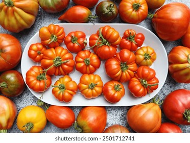 Fresh colorful ripe fall or summer heirloom variety tomatoes over table background. Harvest and cooking tomato sauce concep . - Powered by Shutterstock