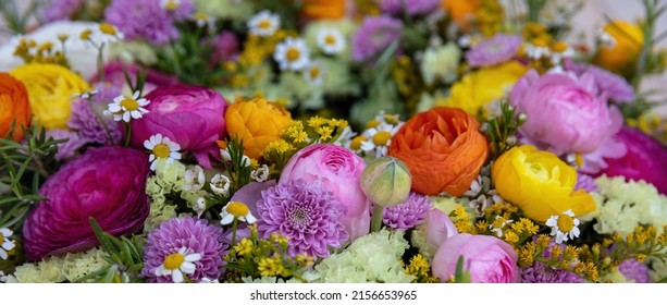 Fresh Colorful Wild Flowers And Herbs Background, Close Up View. Garden Nature Blooming, Spring. Women Or Mothers Day Celebration Bouquet, Banner