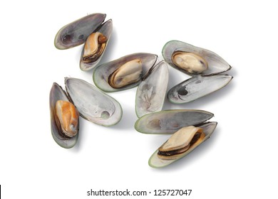 Fresh cooked Green lipped mussels from New Zealand isolated on white background