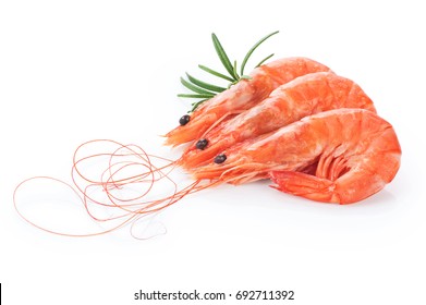 Fresh Cooked Shrimp Isolated On White Background. Seafood.