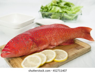 Fresh Coral Trout Fish 
Coral Trout Fish on the Chopping Board