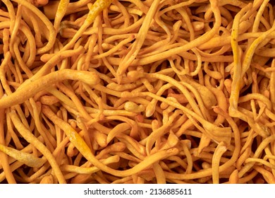 Fresh Cordyceps Fungus Full Frame As Background Close Up