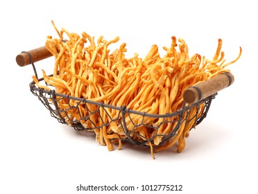 Fresh Cordyceps Mushroom On White Background