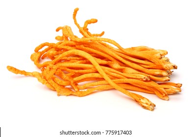 Fresh Cordyceps Mushroom On White Background