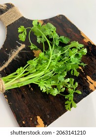 Fresh Coriander Leaves Isolated On Wooden Board