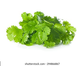 Fresh Coriander Leaves Over White.