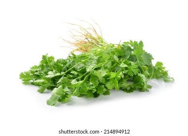 Fresh Coriander On White Background