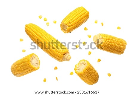 Fresh corn cobs and seeds on white background