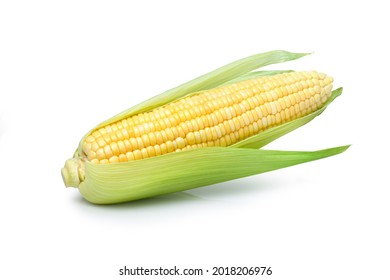 Fresh corn (corncob or corn ears) isolated on white background. Clipping path.