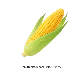 Fresh corn isolated on white background. Clipping path. - Shutterstock ID 2153742099