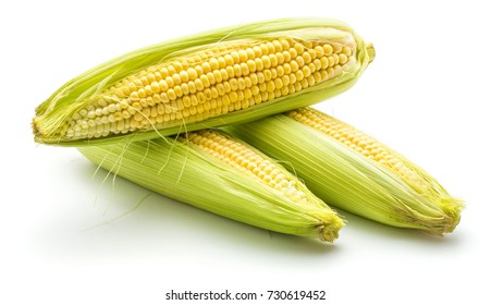 3,955 Corn horn Images, Stock Photos & Vectors | Shutterstock