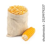 Fresh corn kernels in burlap sack and corncob isolated on white