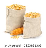 Fresh corn kernels in burlap sacks and corncob isolated on white