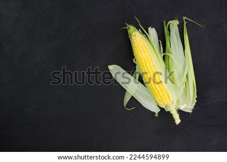 Similar – Beetroot, zucchini and corn on blue background