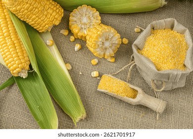 Fresh corn on cobs on rustic wooden table, top view. Dark wooden background freshly harvested organic corn. Corn grits in cloth sack.