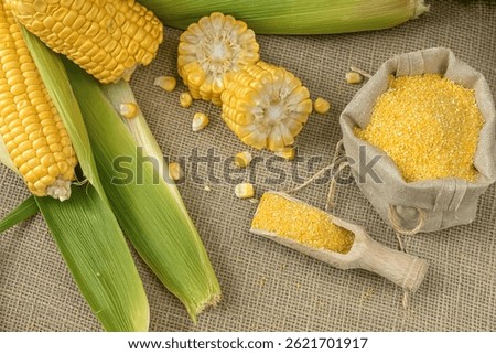 Fresh corn on cobs on rustic wooden table, top view. Dark wooden background freshly harvested organic corn. Corn grits in cloth sack.