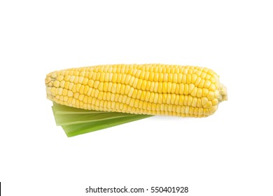 Fresh Corn On White Background In Top View