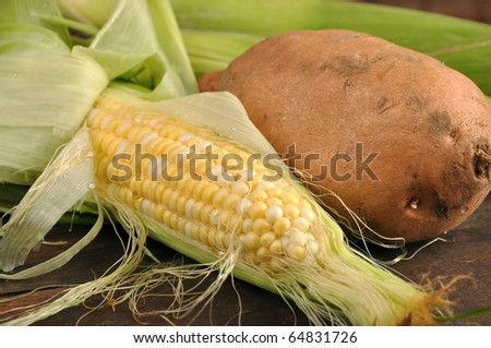 Fresh corn and a potato