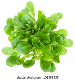 Fresh Corn Salad Top View Isolated On White