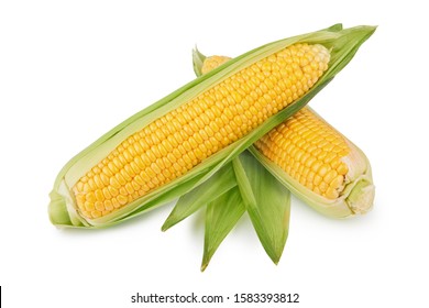 fresh corn vegetable with green leaves on white