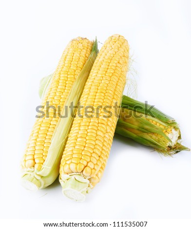 fresh ripe corn cobs Food