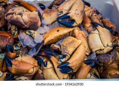 Fresh Crab Legs At A Market