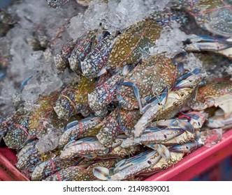 Fresh Crabs For Sale In A Local Seafood Market.     