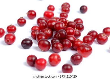 Fresh Cranberries On A White Background