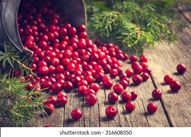 fresh cranberry (cowberry) on wooden background, selective focus, toned - Powered by Shutterstock