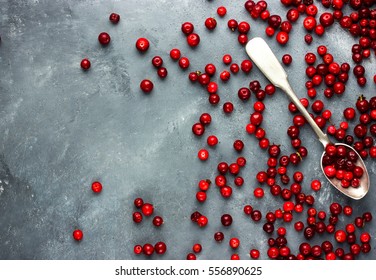 Fresh Cranberry Or Cowberry Top View