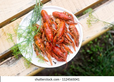 Fresh Crayfish Boiled With Spices And Dill Served On A Round Dish.