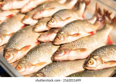 Fresh Crucian Carp As Background With Copy Space. Seafood Supermarket Stall With Fresh Fish. Fresh Fish Delivery Concept